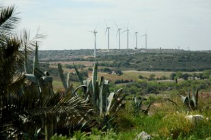 Guelmim Oued Noun Eolien et cactus en pôle position