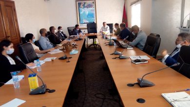 Recommandations du comité thématique relatif au pôle "Commerce, industrie et services" émanant du Comité régional pour le réveil économique de la région de Guelmim et Adenon