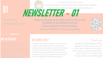 RÉGION GUELMIM OUED NOUN: DES POTENTIALITÉS ÉNORMES ET DES PERSPECTIVES DE DÉVELOPPEMENT PROMETTEUSES